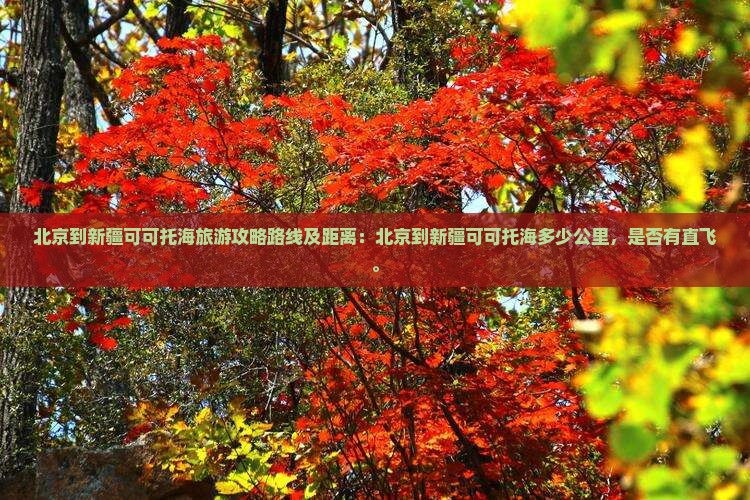 北京到新疆可可托海旅游