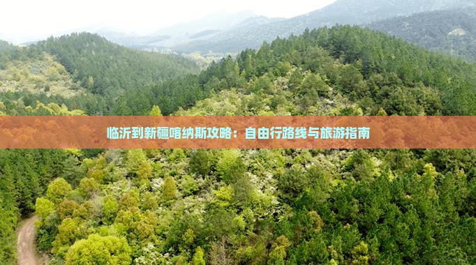 临沂到新疆喀纳斯自由行