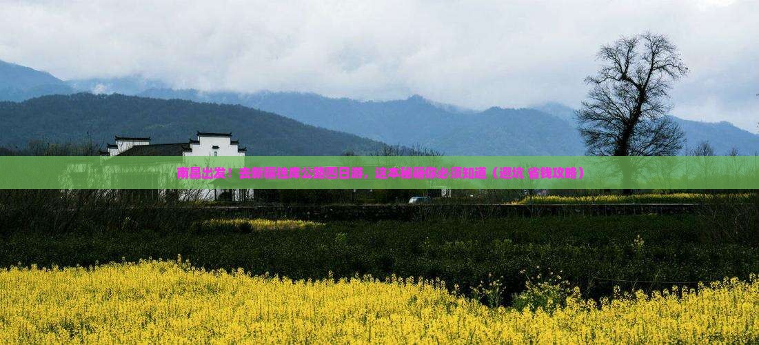 南昌去新疆独库公路四日游