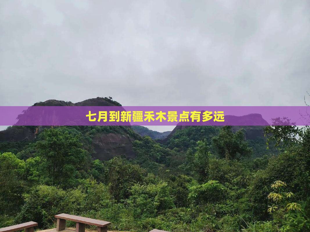 七月到新疆禾木景点