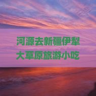 河源去新疆伊犁大草原旅游小吃