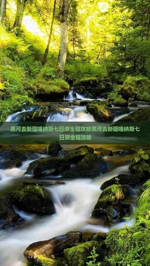 黑河去新疆喀纳斯七日游