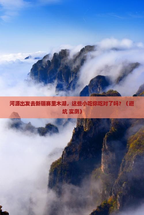 河源到新疆赛里木湖旅游小吃