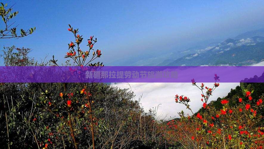 劳动节到新疆那拉提个人游