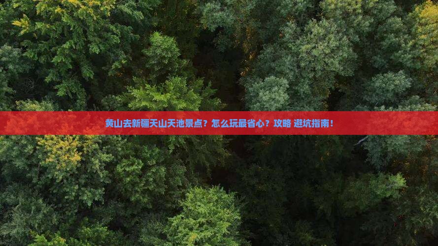 黄山去新疆天山天池景点