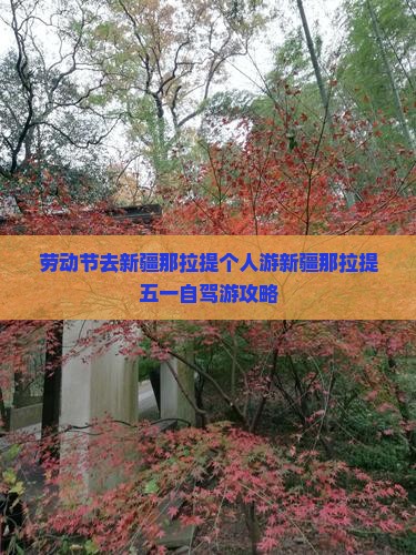 劳动节去新疆那拉提个人游