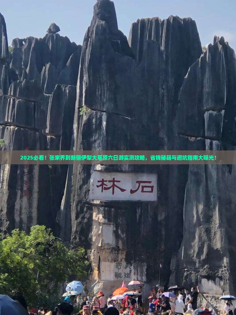 张家界到新疆伊犁大草原六日游