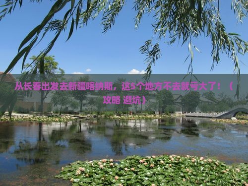 长春去新疆喀纳斯必去地