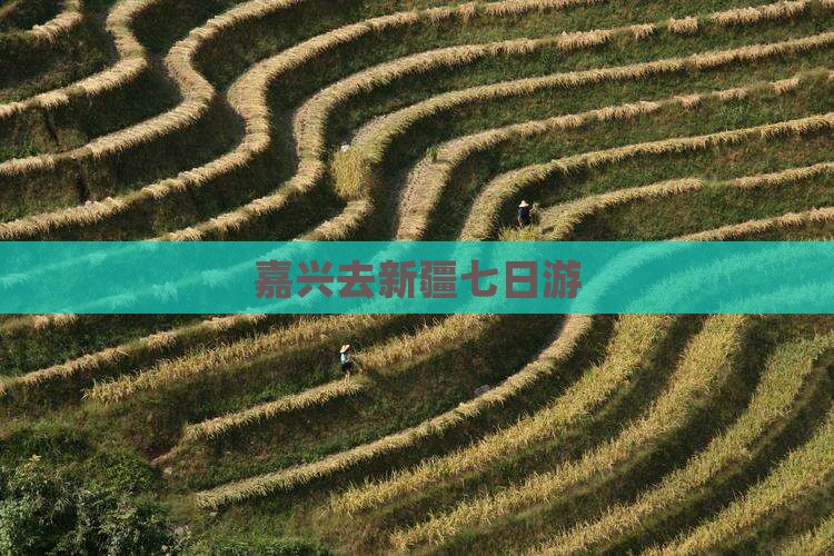 嘉兴去新疆七日游
