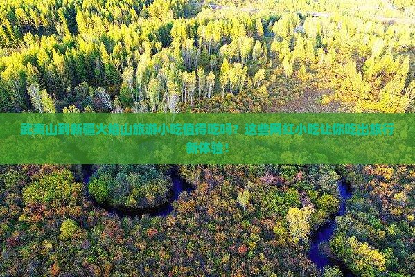 武夷山到新疆火焰山旅游小吃