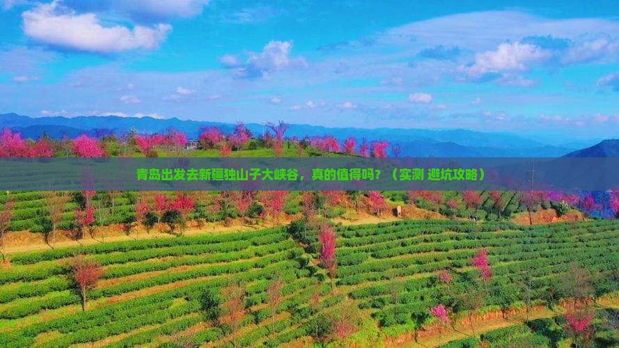 青岛去新疆独山子大峡谷个人游