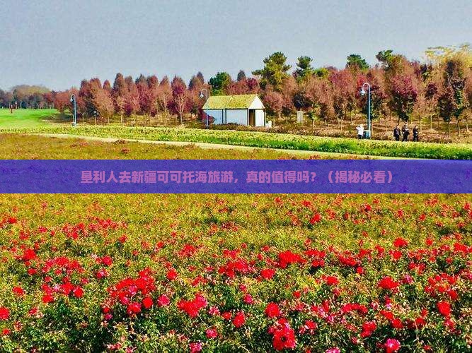 垦利去新疆可可托海旅游