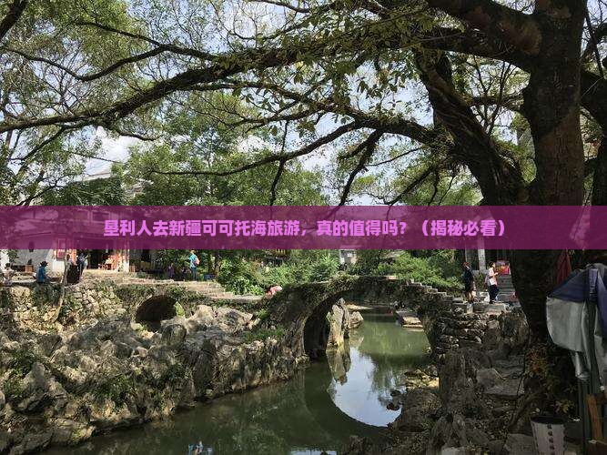 垦利去新疆可可托海旅游