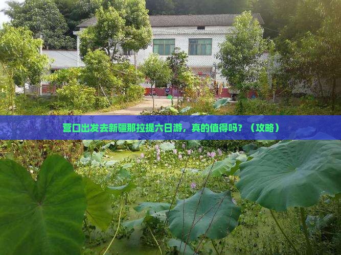 营口去新疆那拉提六日游