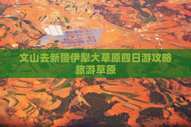文山去新疆伊犁大草原四日游
