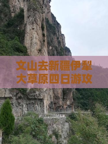 文山去新疆伊犁大草原四日游