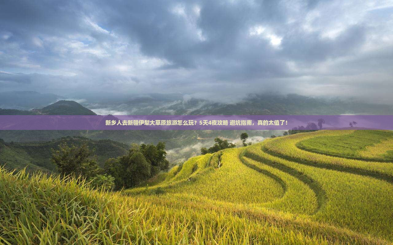 新乡到新疆伊犁大草原团体旅游