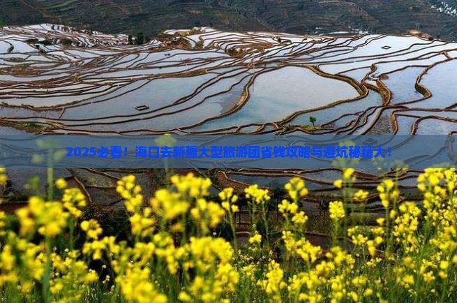 海口去新疆大型旅游团
