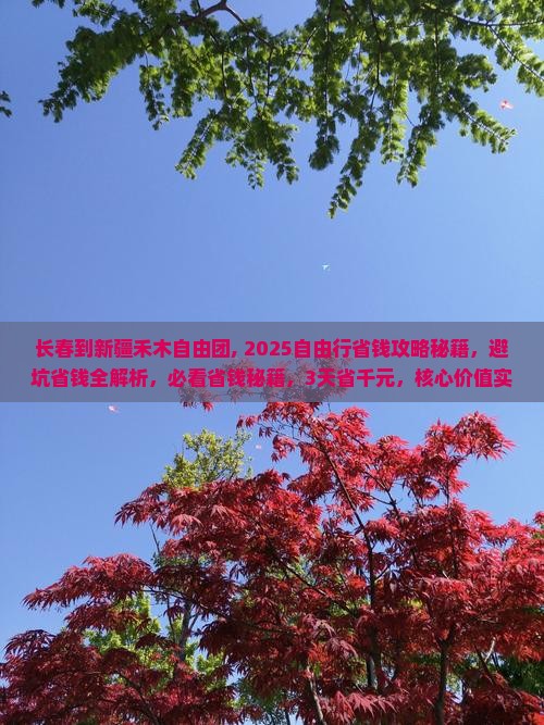 长春到新疆禾木自由团