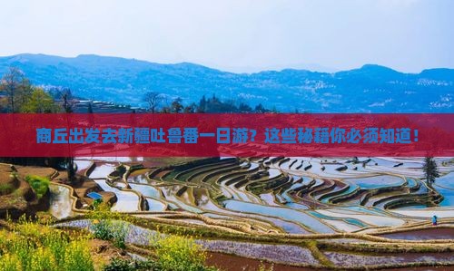 商丘去新疆吐鲁番一日