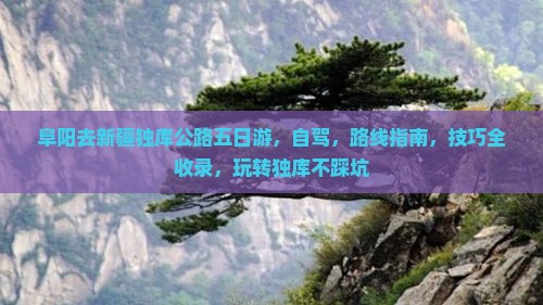 阜阳去新疆独库公路五日游