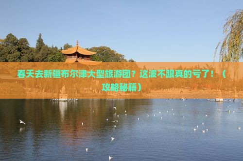 春天去新疆布尔津大型旅游团