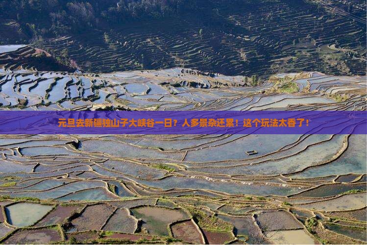 元旦去新疆独山子大峡谷一日