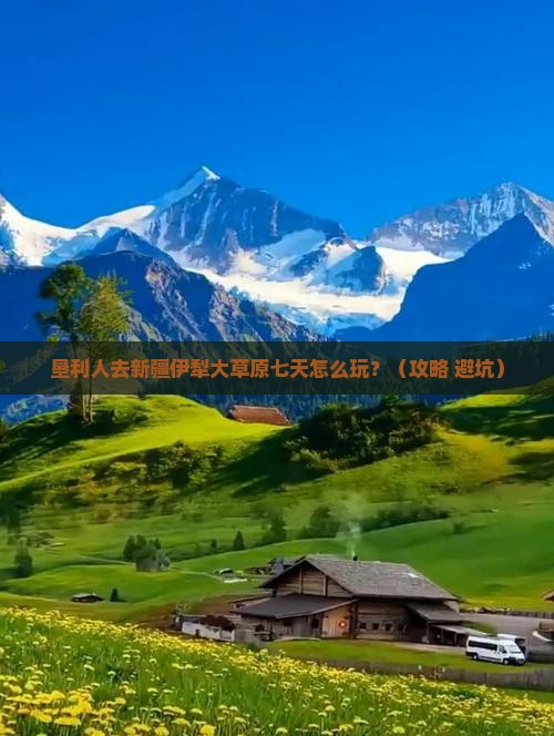 垦利去新疆伊犁大草原七日游