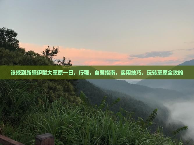 张掖到新疆伊犁大草原一日