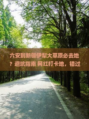 六安到新疆伊犁大草原必去地