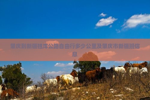 肇庆到新疆独库公路自由行