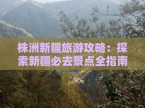 株洲去新疆团体旅游