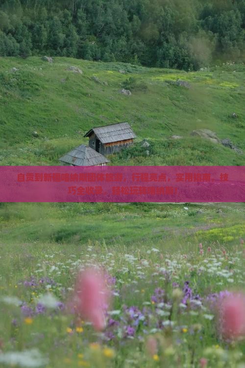 自贡到新疆喀纳斯团体旅游