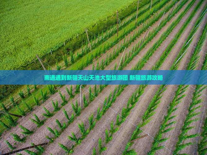 南通到新疆天山天池大型旅游团