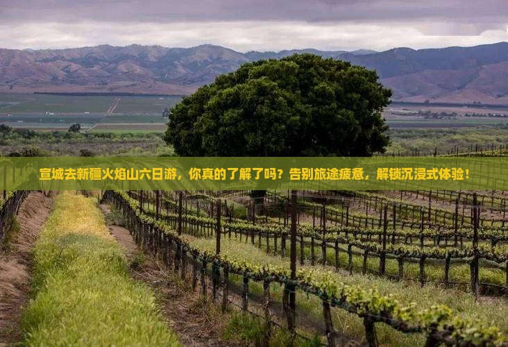 宣城去新疆火焰山六日游