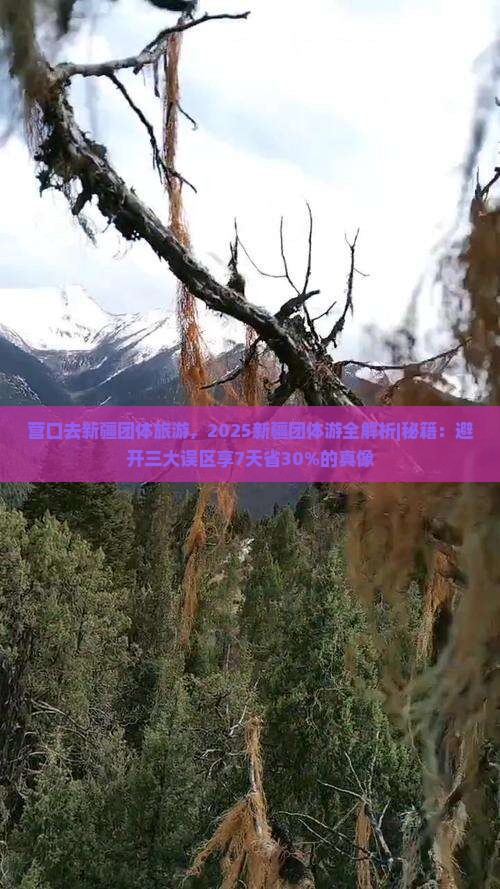 营口去新疆团体旅游
