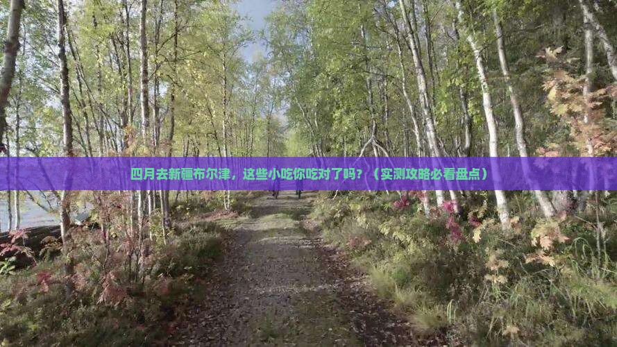 四月到新疆布尔津旅游小吃