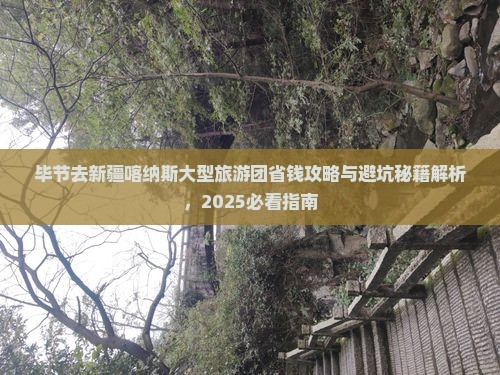 毕节去新疆喀纳斯大型旅游团