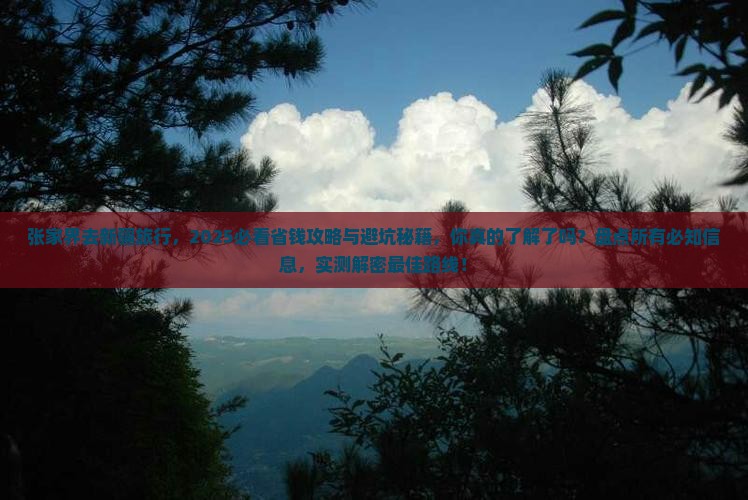 张家界去新疆旅行社