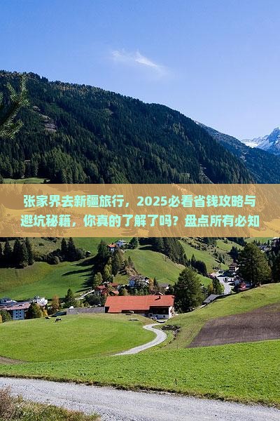 张家界去新疆旅行社