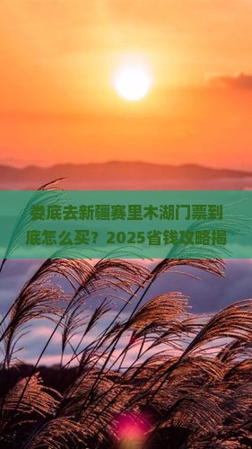 娄底去新疆赛里木湖门票