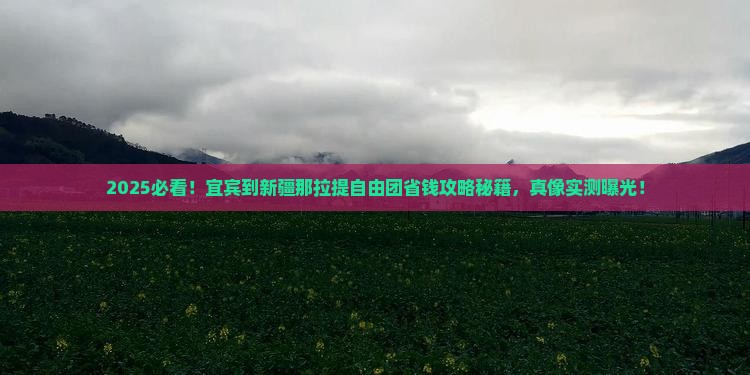 宜宾到新疆那拉提自由团