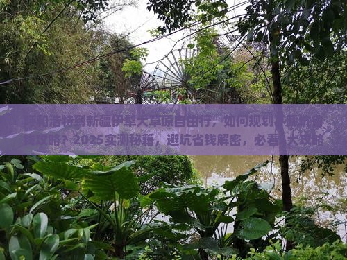 呼和浩特到新疆伊犁大草原自由行