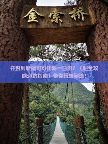 开封去新疆可可托海一日