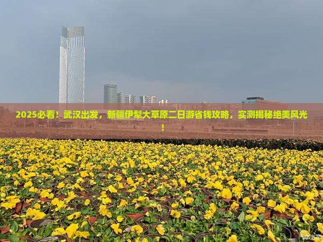 武汉到新疆伊犁大草原二日游