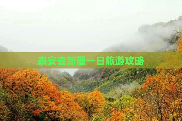 泰安去新疆一日