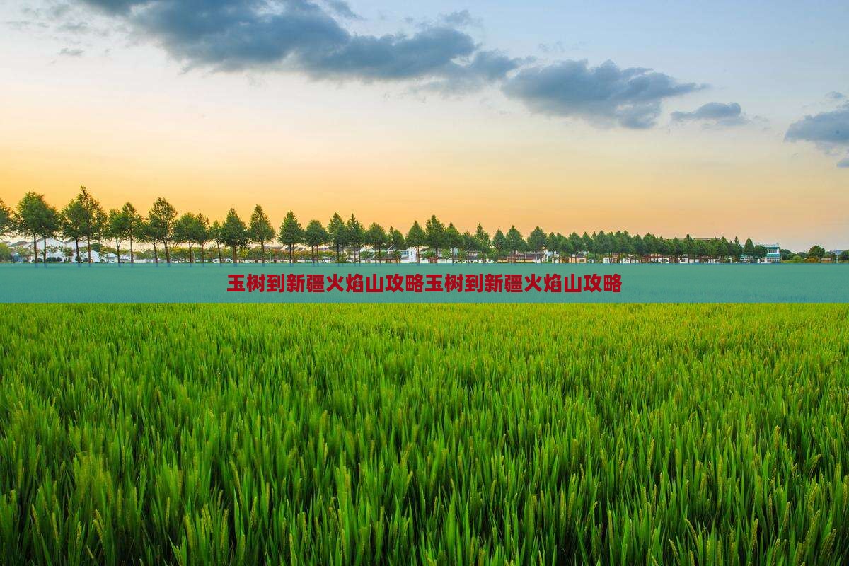 玉树到新疆火焰山攻略