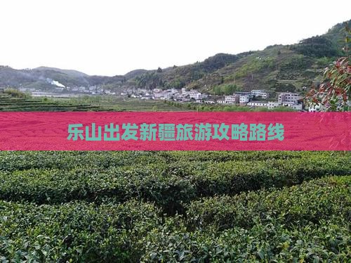 乐山去新疆旅游