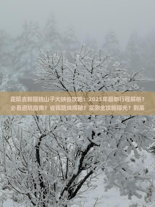 霍邱去新疆独山子大峡谷攻略
