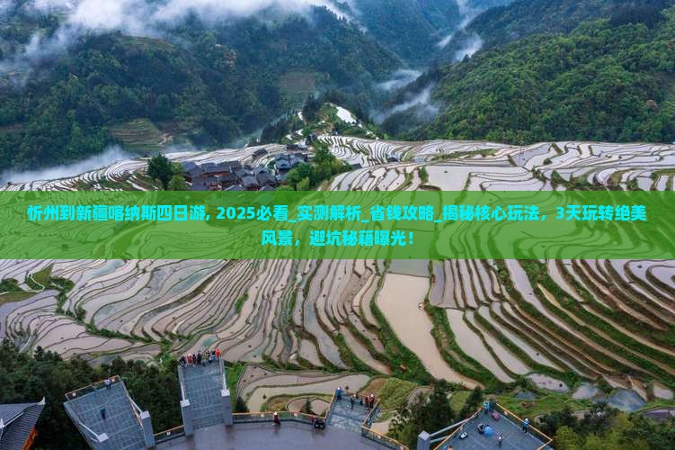 忻州到新疆喀纳斯四日游